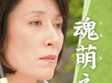 ブラックリストに入った高畑淳子、メディアから総スカン状態に! 裕太の父親リークもテレビ業界だった!?