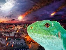 動物の地震予知能力について獣医師が語る! トカゲの行動は要チェック!!