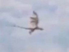【衝撃動画】伝説のドラゴンが中国上空を飛んでいる! 翼竜の飛来に海外メディア騒然!