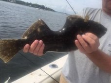 【衝撃】かじり取られた体のまま生き続ける「怪魚」が発見される! 生き長らえた“本当の理由”を理学博士が解説