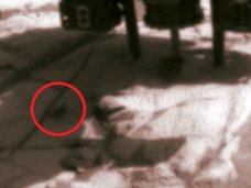 NASA火星探査機が「逃げ惑うゴキブリ」を多数激撮! 火星の荒野をガチで走り回る超衝撃映像!