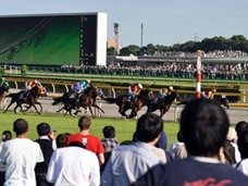【極秘】社名掲載を禁じる「謎の競馬予想サイト」の的中率がヤバすぎる!