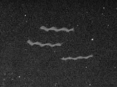 メキシコ火山を横切る3機の「ワーム型クネクネUFO」を激写! 珍しい映像に専門家も大興奮!