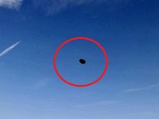 東京上空に出現した「漆黒の円盤」を徹底分析! 虫でも鳥でもない、正真正銘の“ブラックUFO”であることが確定