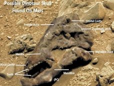 【衝撃】火星で恐竜の化石(頭骨)が発見される! 歯までクッキリ、火星にもジュラ紀があった!?