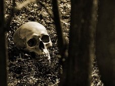 奇習! 地面に“生えた”死人の首、もしも野獣が完食したら…!? 珍妙すぎる自然葬の思想的背景とは?=鳥取県