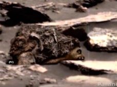 【衝撃画像】火星でナマケモノの化石が発見される! 地質学者も大胆発言「なんら不思議ではない」
