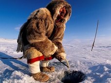 カナダ北極の海底から不可解すぎる「謎の怪音」、動物が1匹残らず消失! 軍が調査も「原因不明」