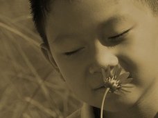 奇習! 生理中の女性がわかる特殊な嗅覚を持つ人々 ― 村民全員に備わる異能「犬鼻」の神秘=静岡県