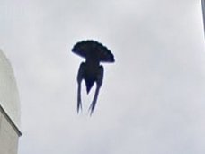 赤坂駅上空のストリートビューに謎の飛行物体出現! 宇宙人か、UFOか、ヒューマノイドか、科学者がトカナに緊急コメント