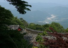 【韓国】本当だった「1000体超の遺体を山林で発見事件」! 宗教団体が50年以上、信者を埋めていた?