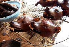 【衝撃】店頭に“犬の生首”… ハノイの犬肉料理店全貌! 残酷な「犬肉ビジネス」の実態もレポート