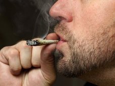 妄想・錯乱・フラッシュバック…！ 大麻（マリファナ）が酒・タバコよりも危険な理由を理系が解説