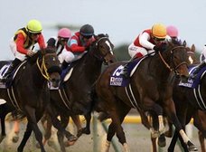 少数精鋭の超エリート集団シンクタンクが、封印された「万馬券的中法」を公開! 北島三郎登場のジャパンカップでの秘策を語る!