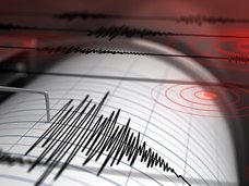 鳥取の大地震は完全に予測されていた! 動物の異変、地殻変動、謎の虹、体感… 前兆現象のオンパレード!!