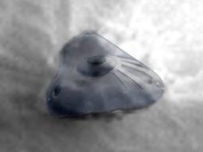 火星に不時着した「ハート型UFO」をNASAが激写! 専門家「操縦席も発見」、「修理すればまだ飛べる」
