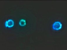 【衝撃映像】米空軍基地に3機のUFO連隊が出現! 合体、強烈発光、右往左往… 地球外飛行技術の「極秘夜間訓練」か!?