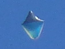 【衝撃画像】空を泳ぐ「クラゲ型半透明UFO」が激撮される! エヴァの第五使徒“ラミエル”にもそっくり=米
