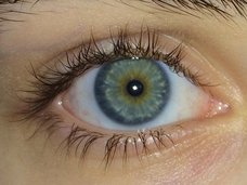 他者と10分間見つめ合うと幻覚体験・体外離脱することが判明! メカニズム不明の「アイコンタクト・パワー」