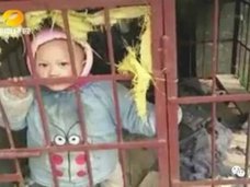 中国版“パチンカス”!? 3歳児を犬用の檻に閉じ込め、麻雀に没頭する鬼母
