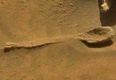 NASAが火星で「完璧なスプーン」を激写、これで2本目! 我々の食文化は火星由来だったことが判明!