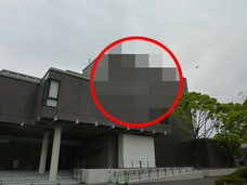 鳩が壁をすり抜ける瞬間を高校生が激写! 「トンネル効果」の決定的瞬間を捉えた歴史的スクープ画像か!?