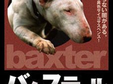 「その発想はなかった!!」近所のブル・テリアを盗んで食べた男が逮捕!