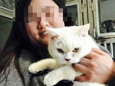 ペットショップへの腹いせ!? 返品拒否された女が、飼い猫の皮を剥いで店頭に遺棄