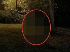 幽霊?妖精? “海外版・小さいおっさん”の猛ダッシュ姿が激写される!=米