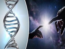 自然界には存在し得ない「半合成生物(E. coli)」が誕生! 理学博士が“人工DNA”のリスクと意義を緊急解説(最新研究)