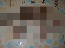 【閲覧注意】切り取られた“女性器の標本”が大量発見される! 「20代の陰部は桃、30代はバラ、40代は…」猟奇的解説に戦慄=中国