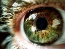 全人類共通の「集合的無意識」は確実に存在する! 「ブーバ/キキ効果」実験で判明(最新研究)