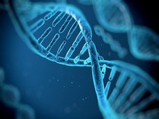 【最新研究】人類以前(25億年前)に「複雑な生命体」が存在していた可能性! 地球生命史に大革命か?