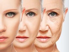 外見20歳、実年齢80歳の老人が大量徘徊する時代が来る! 現実化する「不老不死」の具体的な研究内容とは?