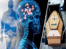 輪廻転生が実在することが量子論で判明! 専門医「死後、あなたの意識は次の人の脳に張り付く」