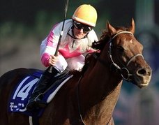 Dr.コパの“風水力”が武豊に大変な事態をもたらす…!? 今週のフェブラリーステークスに注目集まる!