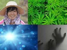 【緊急・安倍昭恵が危険すぎる】森友学園だけではない! 霊能者、中国人スパイ、船井スピ、大麻…夫人の異常行動6!