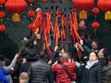 10日がかりの“おもてなし”が一瞬で台無しに……中国人観光客が春節初日に縁起物を集団略奪!