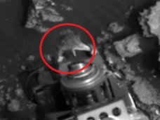 火星探査機にしがみつく“生きたトカゲ”が激写される! 研究者「100%地球外生命体」