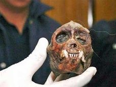 【動画アリ】ゴブリンか!? 草むらをうごめくUMAに、サッカー少年が発狂寸前!