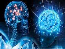 【ヘブ則】人間の脳はAI超えが可能だった!? 数世代後には「スーパーヒューマン」出現か?