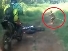 【動画】絶滅したはずの伝説のピグミー「マンテ族」の撮影に成功、半裸で走り去る! 超小型原人「フローレス」とも関係か?=インドネシア