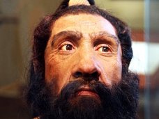 ネアンデルタール人のDNAが我々の「身長と統合失調症」に関連か!? 遺伝子「ADAMTSL3」の最新研究が面白い!