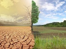 【衝撃】サハラ砂漠は“人工砂漠”だった! 科学メディアの発表に大反響、定説覆る可能性