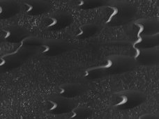 NASAが火星表面でヘビの大群を激写!? 英紙「自然に形成されたとは思えない」