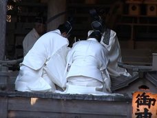 今も絶滅危惧種を“生贄”に捧げる諏訪大社の謎を徹底解説! 日ユ同祖論とも奇妙なリンク