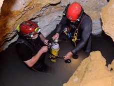 550万年も封印されていた「モビル洞窟」がヤバすぎる! 独自の生態系と謎の生物48種が暮らす“地底の異世界”の謎=ルーマニア
