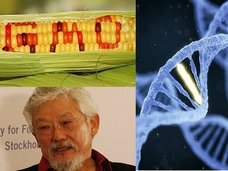 「遺伝子組換え食品は人体実験」 有名生物学者デヴィッド・スズキが暴露!
