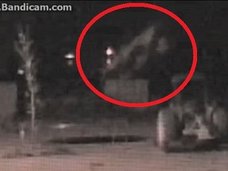 幻の幽霊オオカミ「ミシガン・ドッグマン」が宙を舞う瞬間を激撮! ナバホ族も危惧する幻型生命体「シェイプシフター」との指摘も