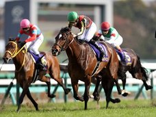 日本ダービーの上位馬3頭を予告! プロ集団がとんでもないビッグスクープを暴露か!?